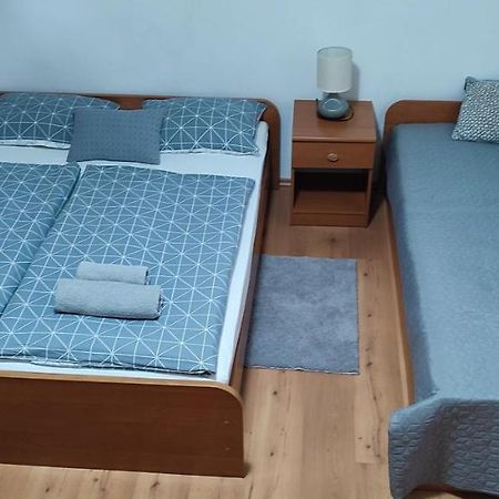 Apartments Vidos Drežnik Grad Eksteriør bilde