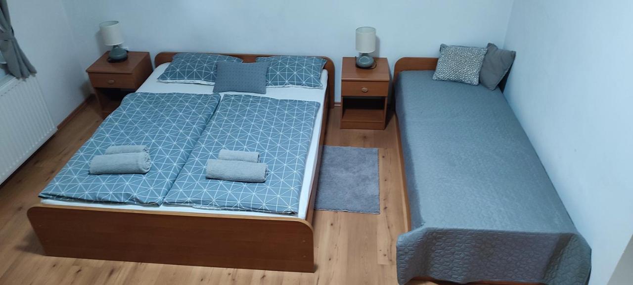 Apartments Vidos Drežnik Grad Eksteriør bilde