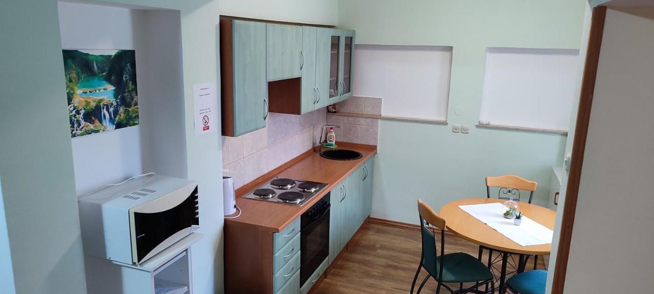 Apartments Vidos Drežnik Grad Eksteriør bilde